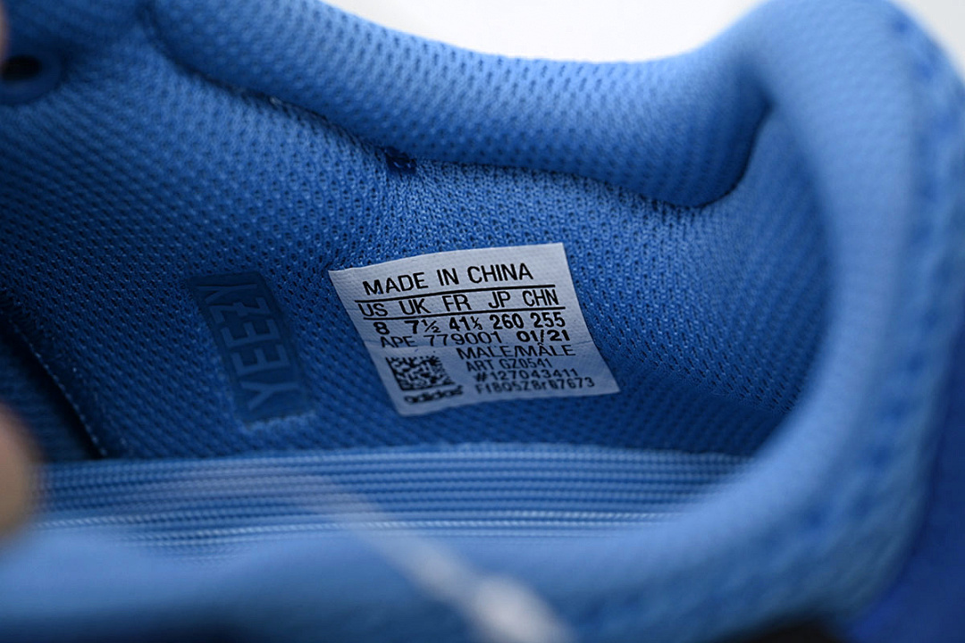 Yeezy Boost 700 BRBLUE - Image 7